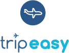 TripEasy Graphic of Plane